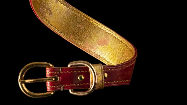 Rotes Lederhalsband mit goldenem Innenfutter und Messingschnalle vor schwarzem Hintergrund – Symbol für Petplay unter Erwachsenen