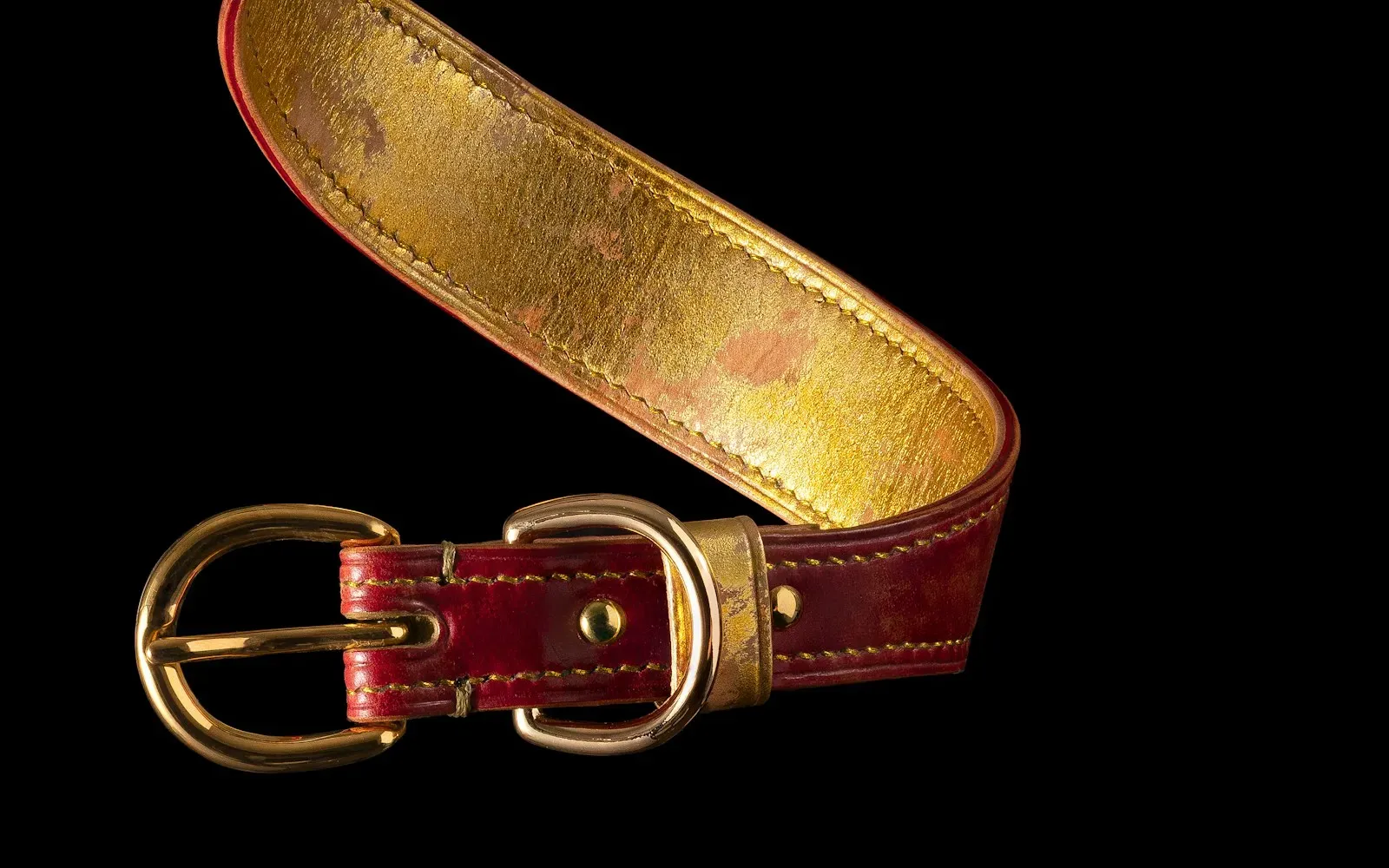 Rotes Lederhalsband mit goldenem Innenfutter und Messingschnalle vor schwarzem Hintergrund – Symbol für Petplay unter Erwachsenen